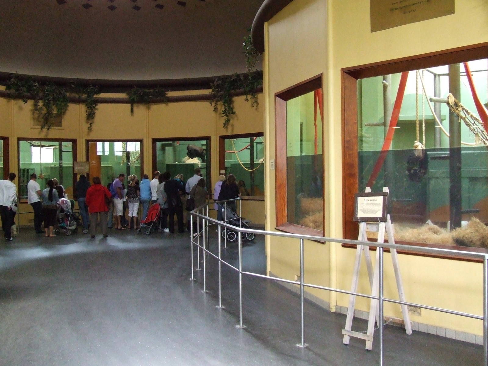 Gorilla indoor exhibits