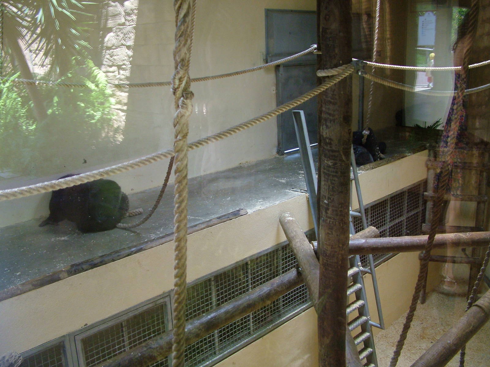 Gorilla Indoor Quarters at Lisbon Zoo, 24/05/11