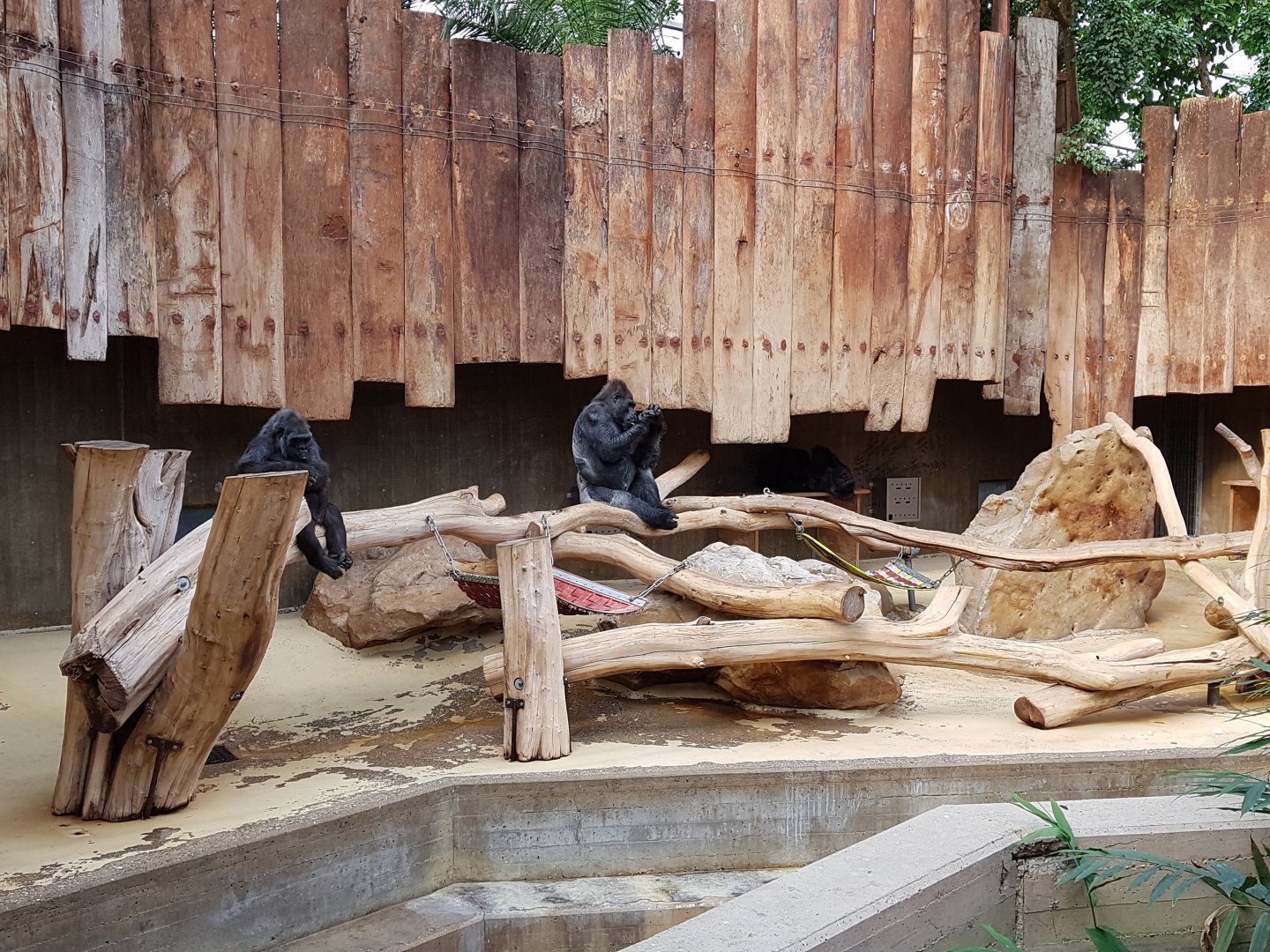 Gorilla indoors accommodation only