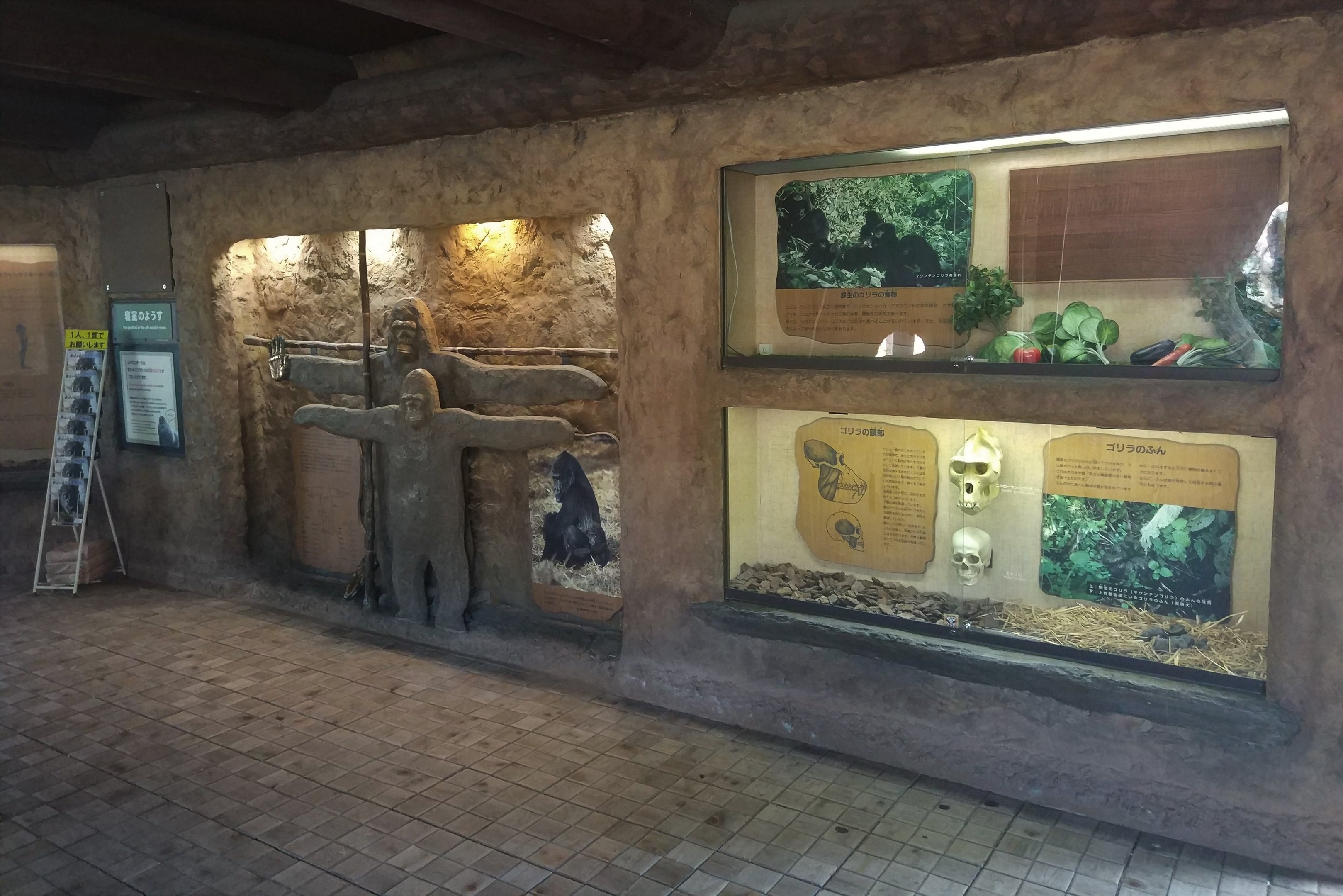 Gorilla Interpretation