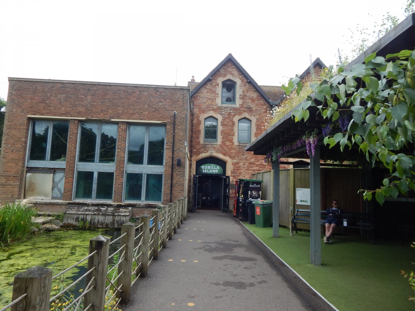 Gorilla Island 190622