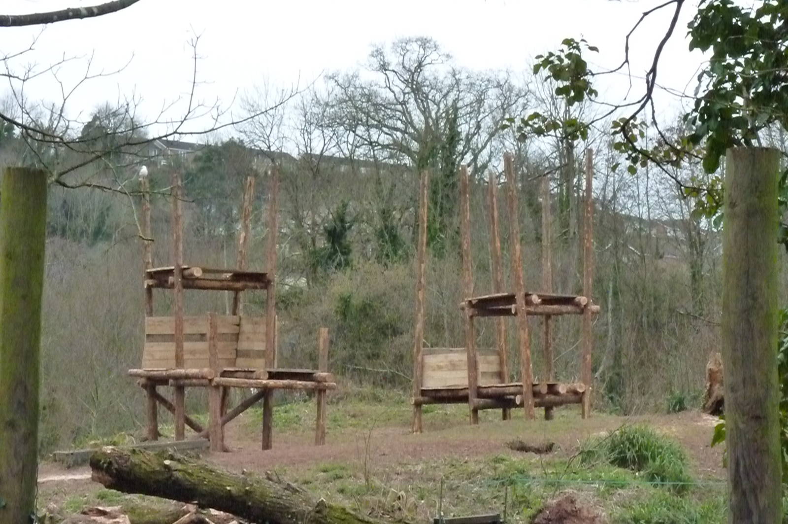 Gorilla Island, 2 March 2013