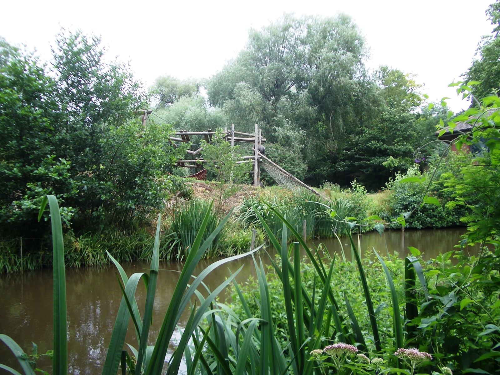 Gorilla Island - 27.07.2010