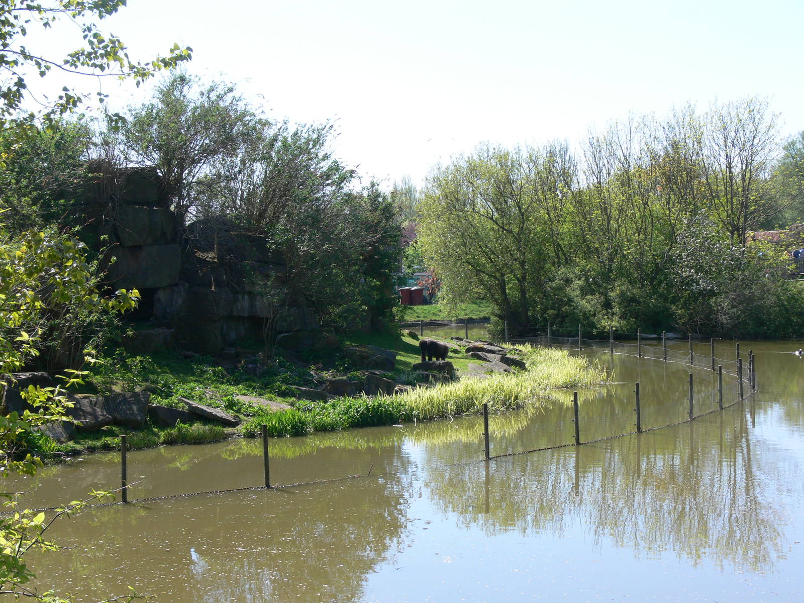 Gorilla Island at Blackpool Zoo, 26/05/13