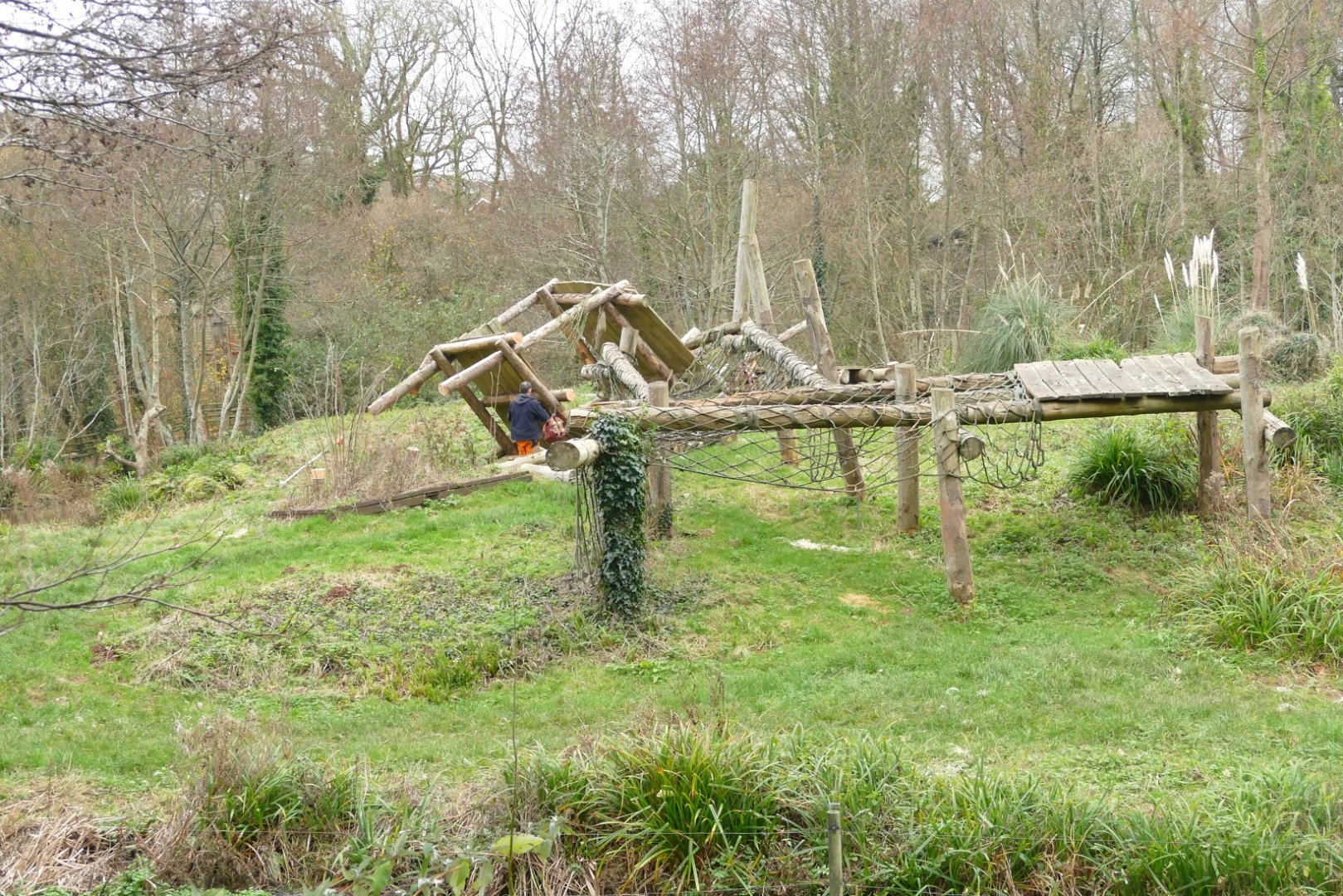 Gorilla island, December 2021