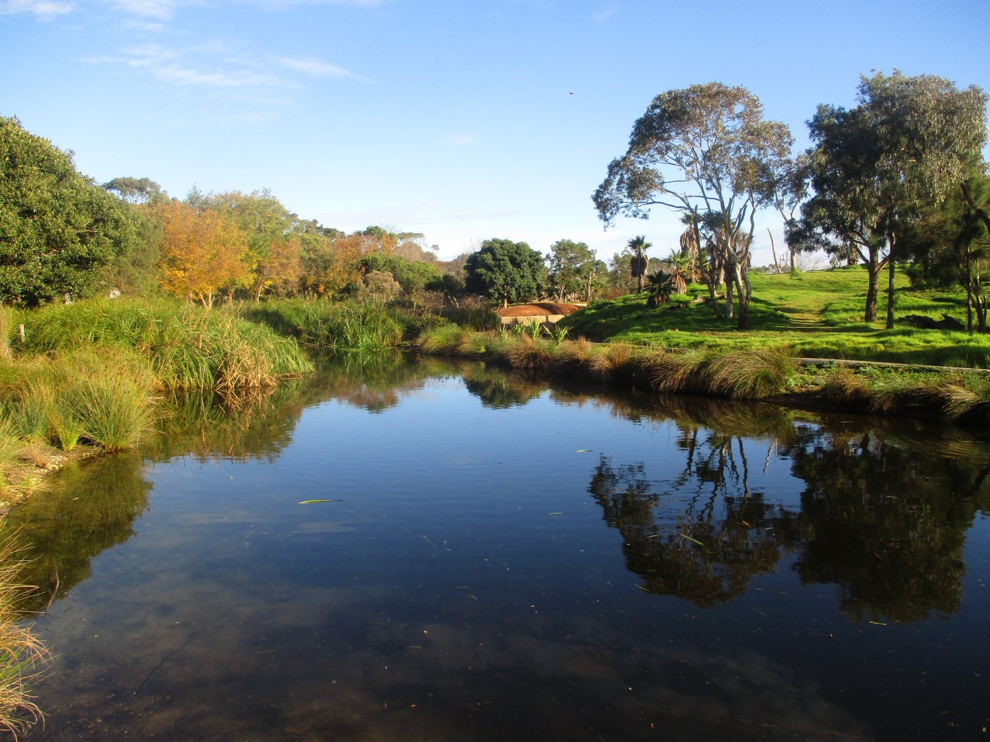 Gorilla Island - June 2016