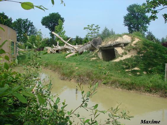 Gorilla island - La Boissière du Doré
