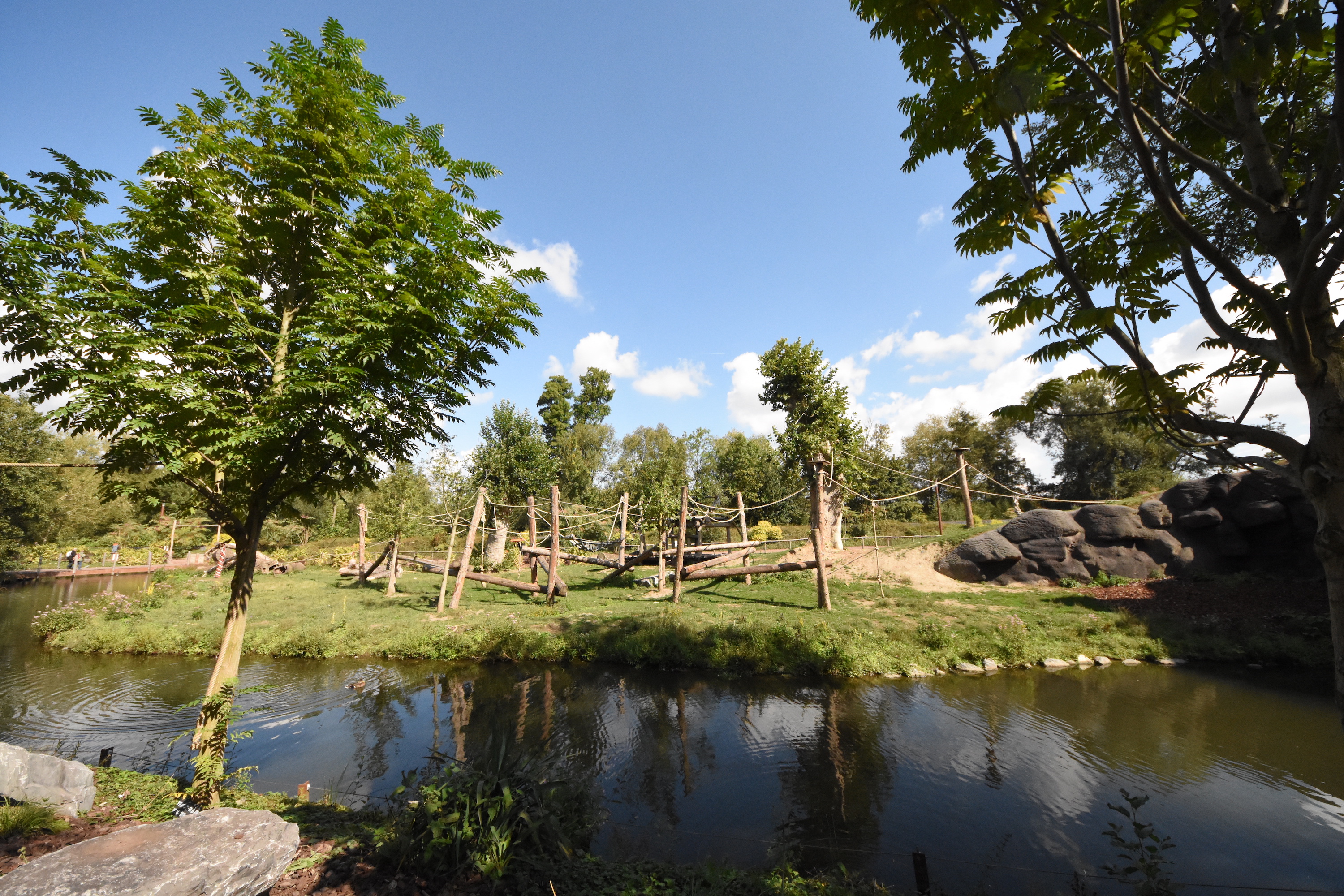 Gorilla island number 2