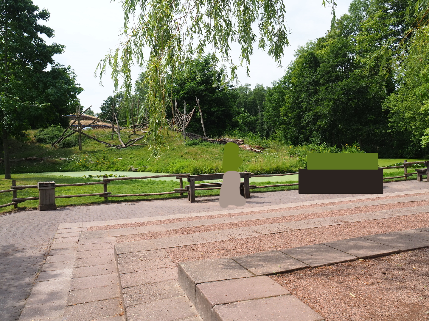Gorilla island viewing and presentation area, 2019-07-21