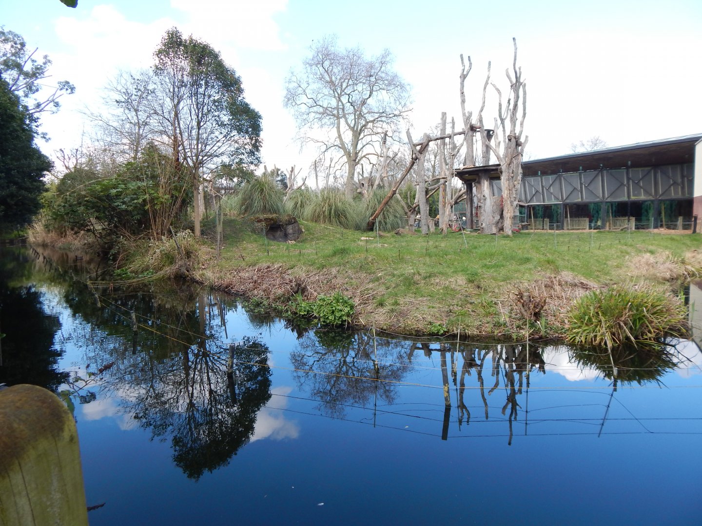 Gorilla Kingdom 180322