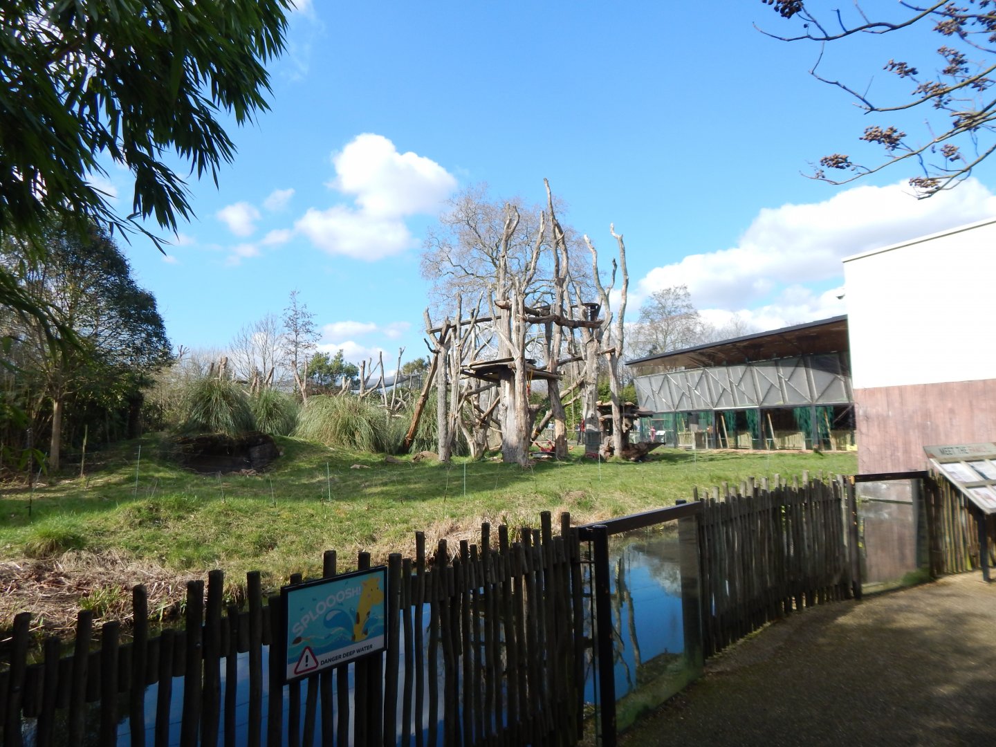 Gorilla Kingdom 180322