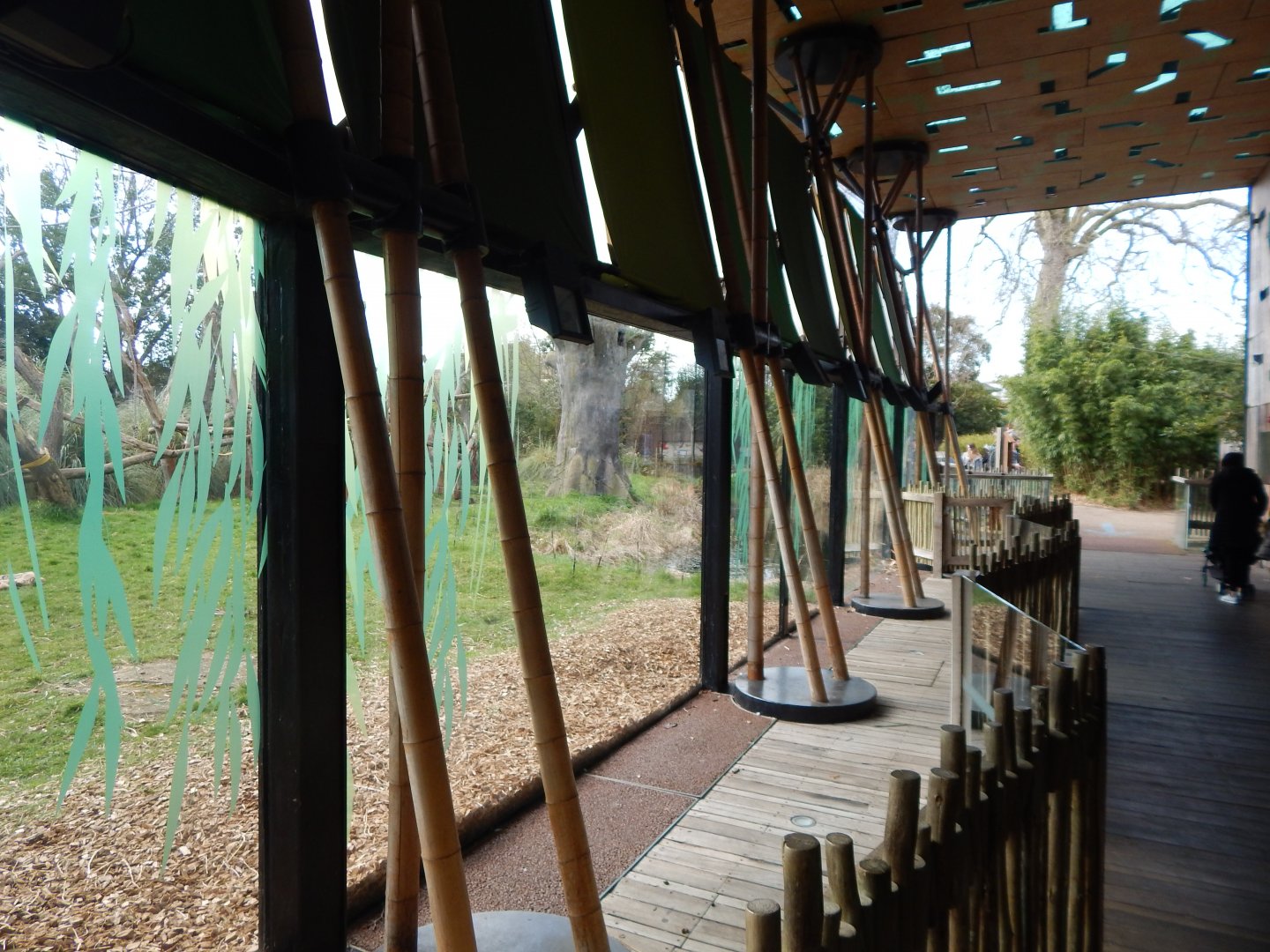 Gorilla Kingdom 180322