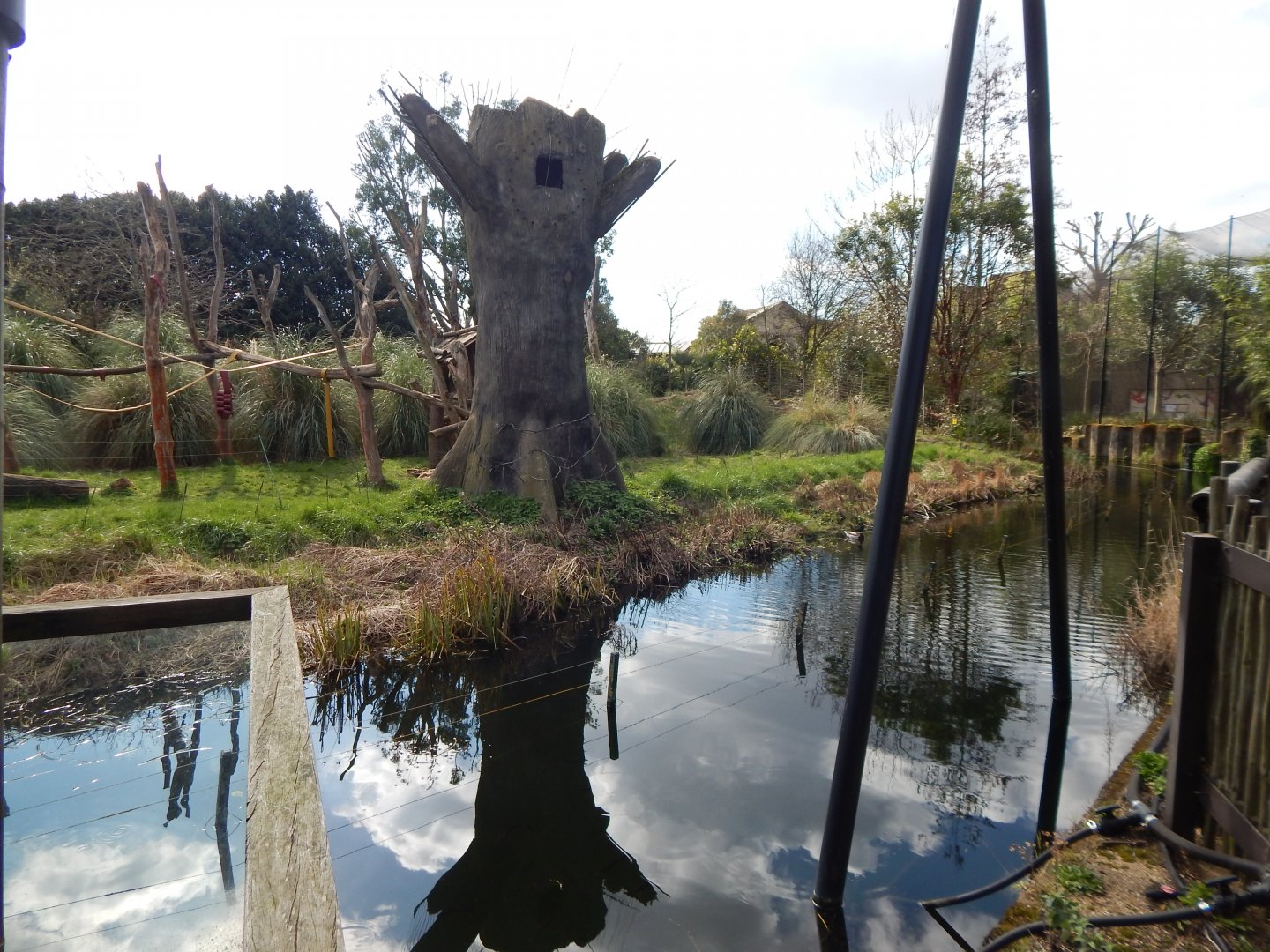 Gorilla Kingdom 180322