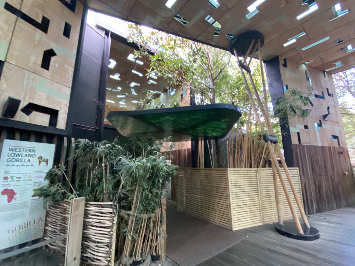 Gorilla Kingdom 180322