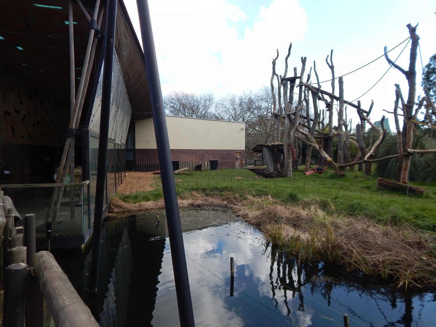 Gorilla Kingdom 180322