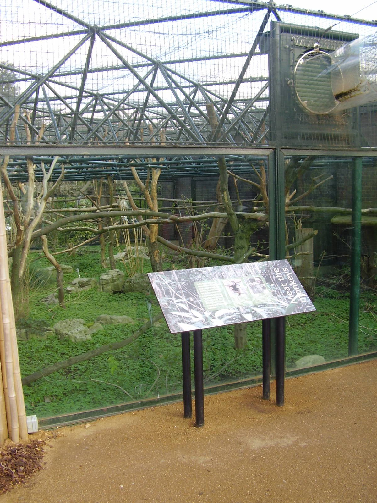 gorilla Kingdom colobus exhibit - March 2008