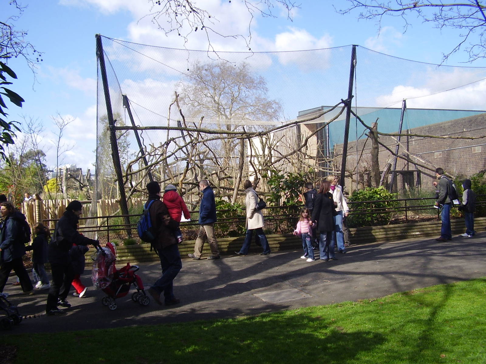 Gorilla Kingdom - Diana monkey exhibit - March 2008