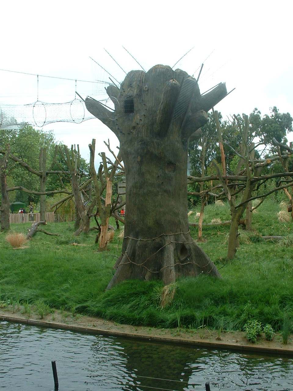 Gorilla Kingdom - London Zoo 2008