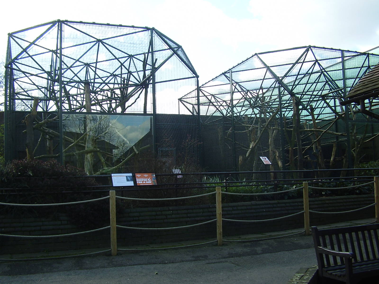 Gorilla Kingdom - mangabey enclosures - March 2008