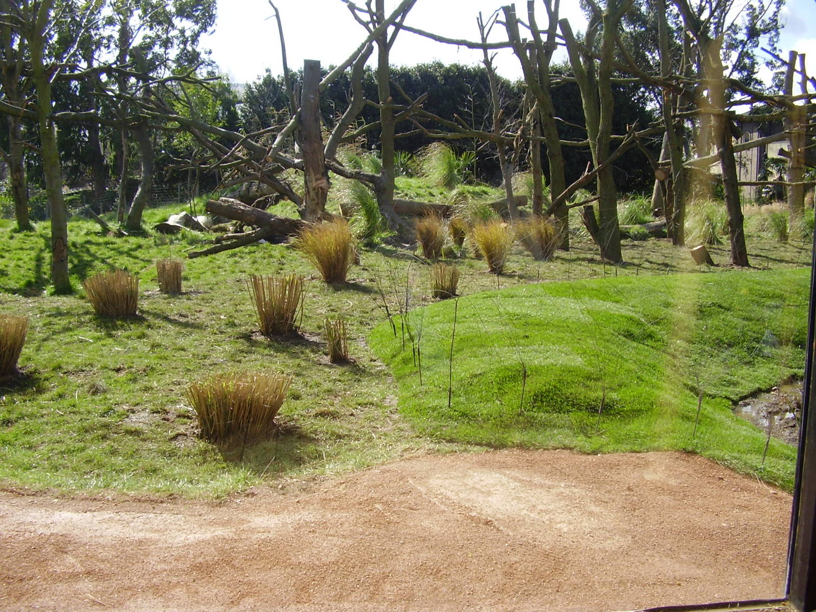 Gorilla Kingdom outdoor habitat - March 2008