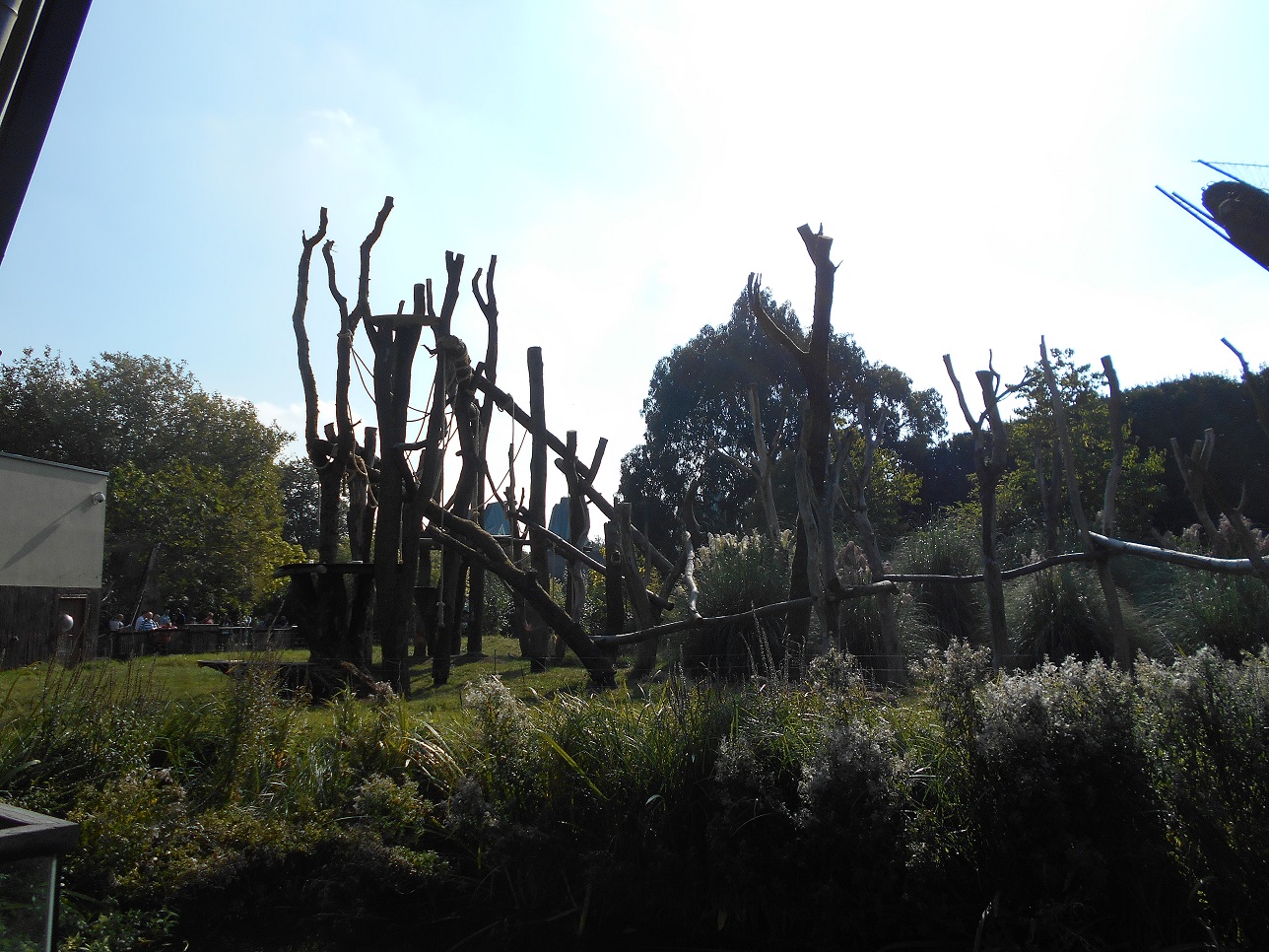 Gorilla Kingdom refurbishment - 04/10/2015