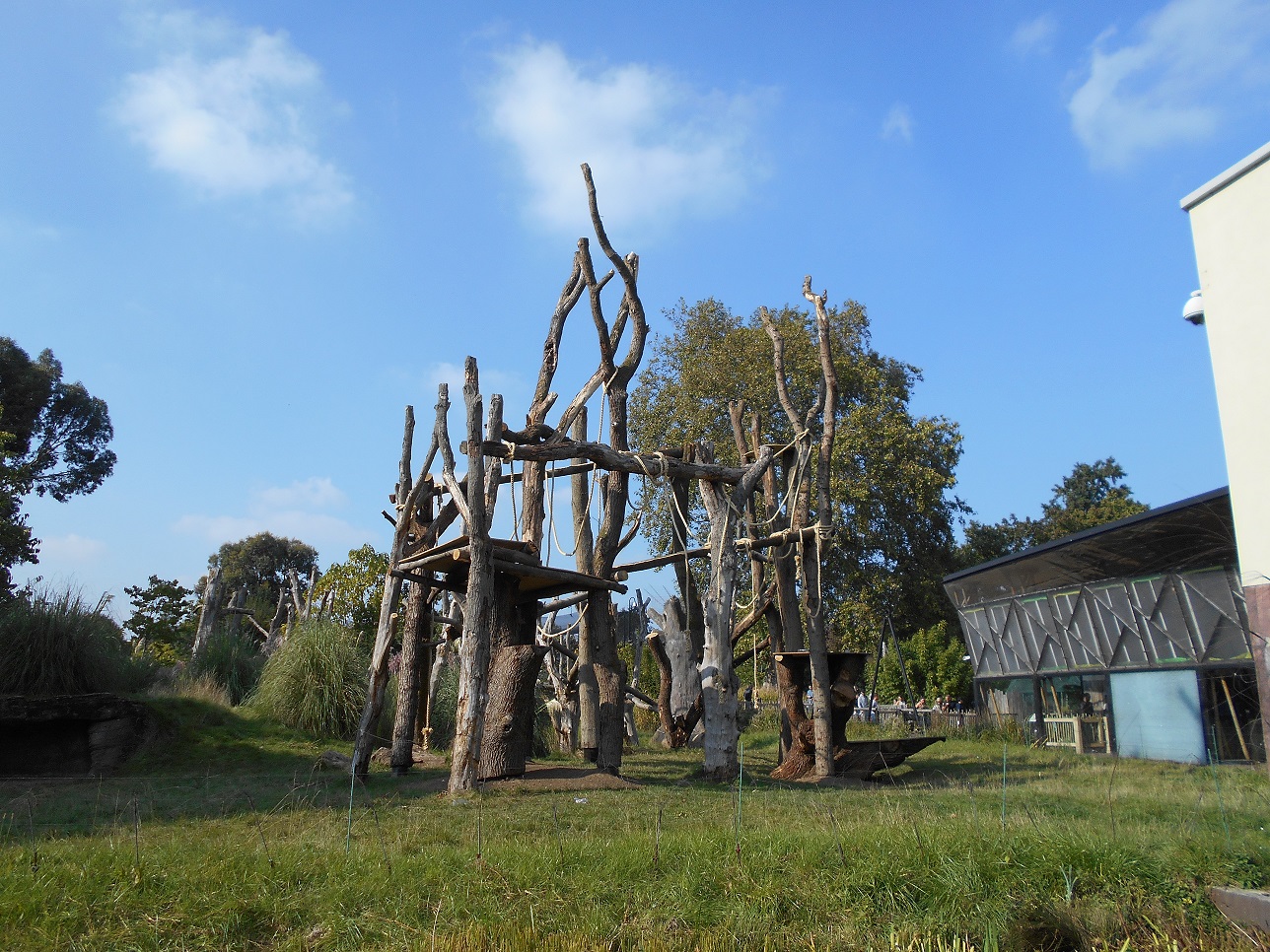 Gorilla Kingdom refurbishment - 04/10/2015