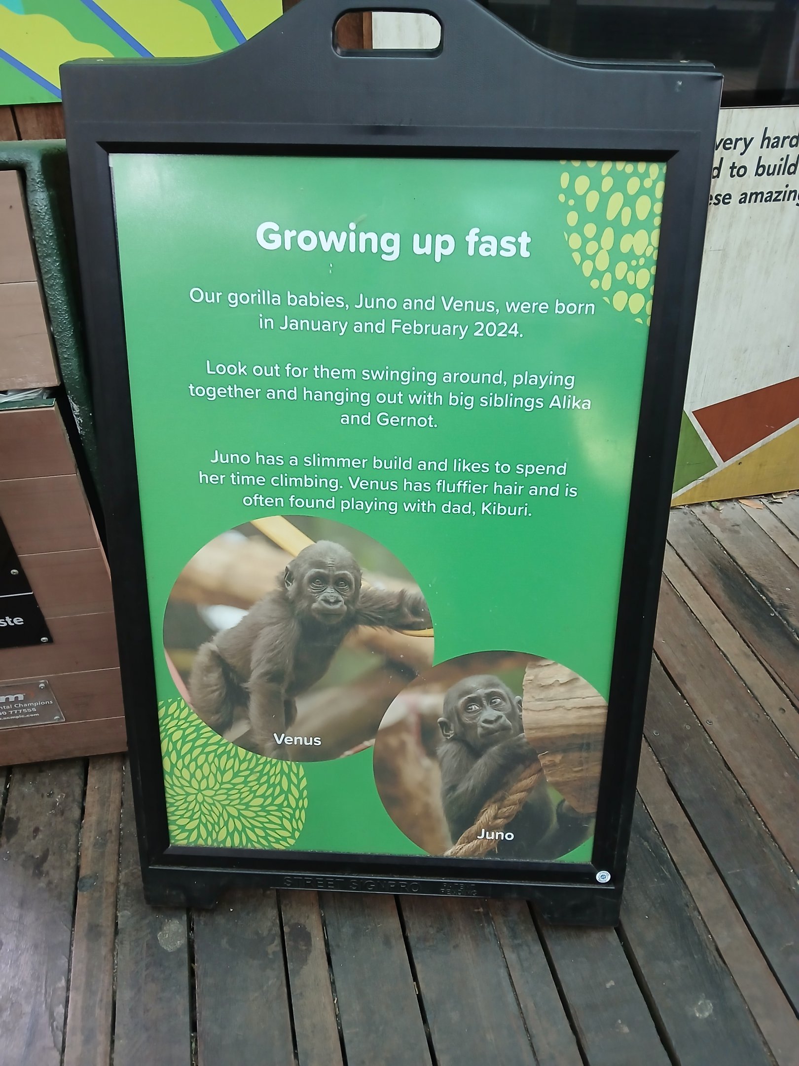 Gorilla Kingdom signage
