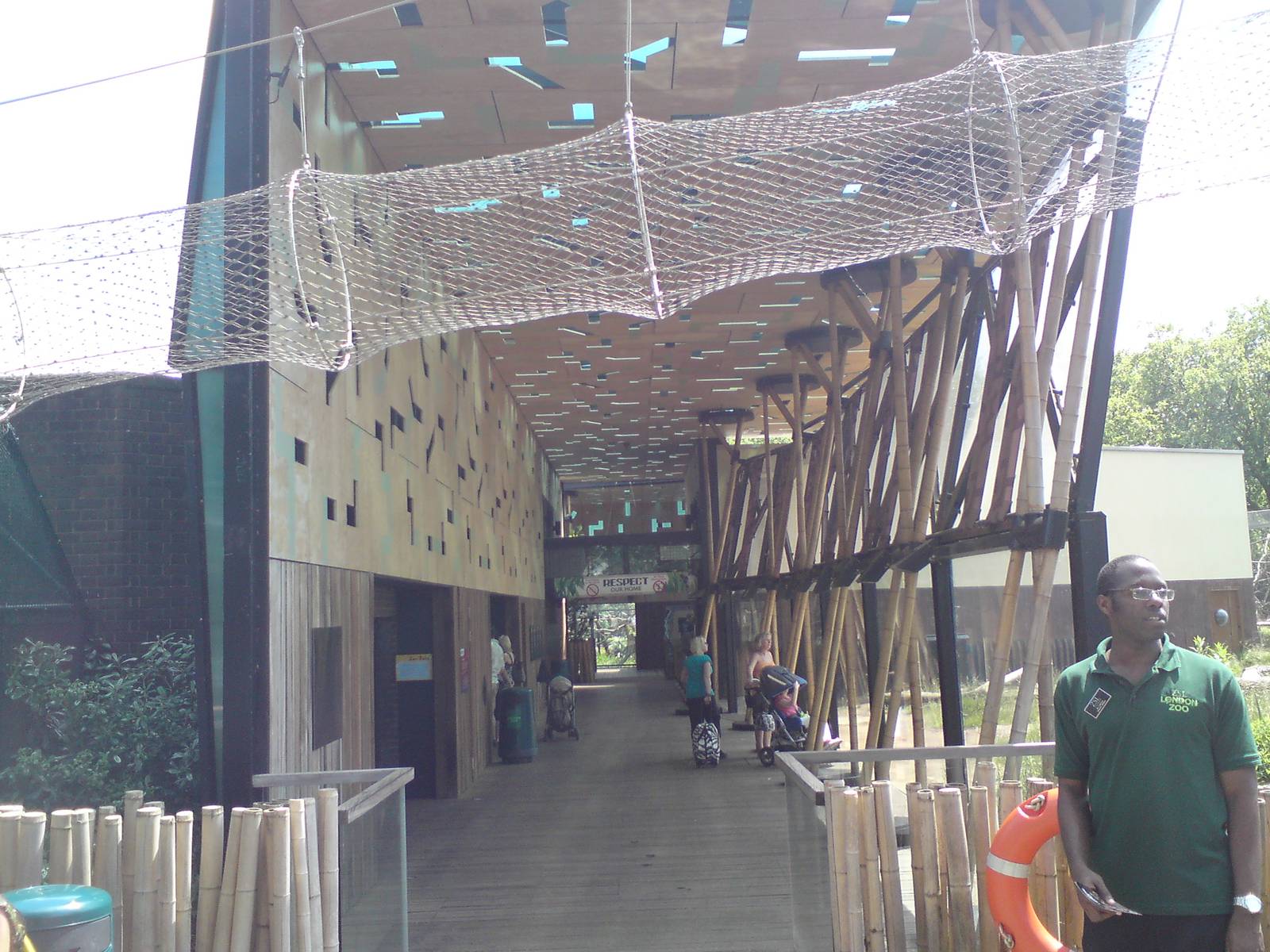 Gorilla Kingdom viewing area