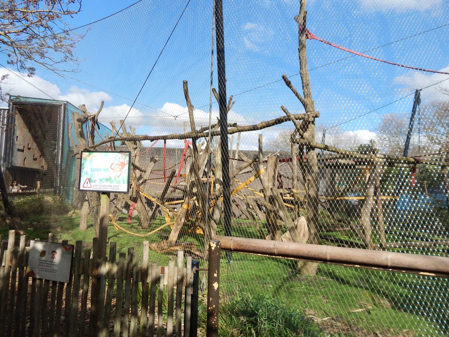 Gorilla Kingdom - White-naped mangabey enclosure 180322