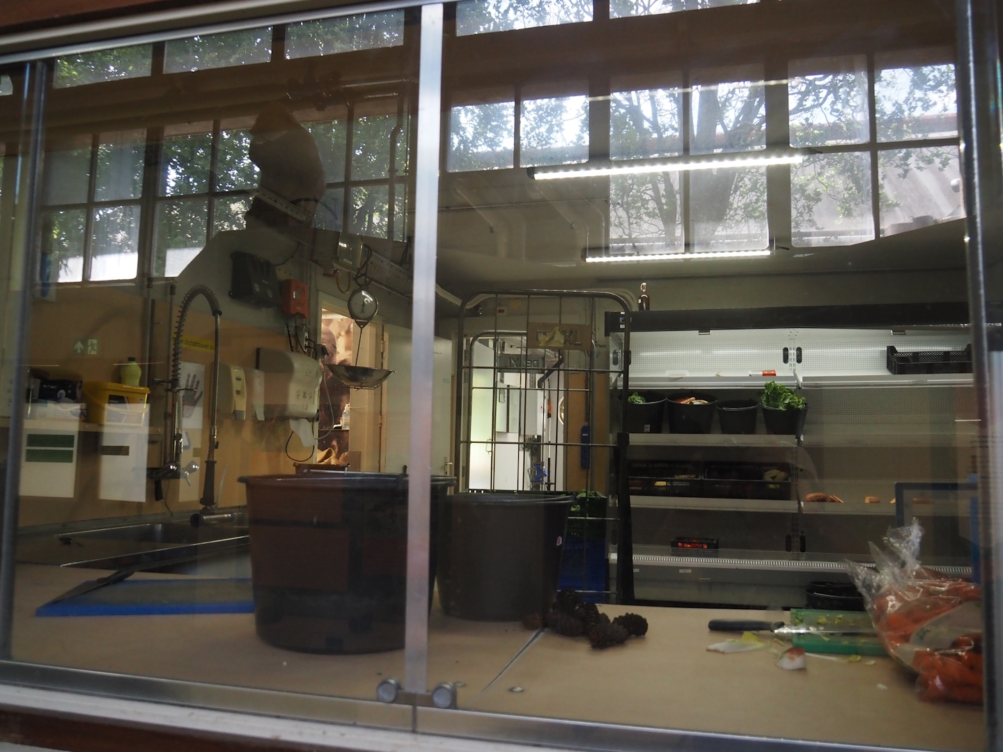 Gorilla kitchen, 2024-06-30