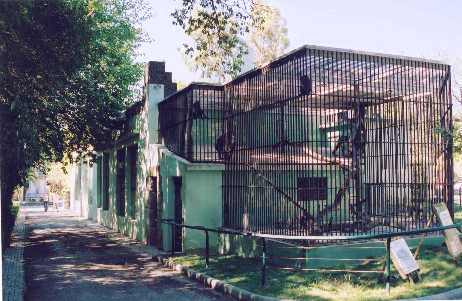 Gorilla/ Mandrill House - Lisbon Zoo 2005