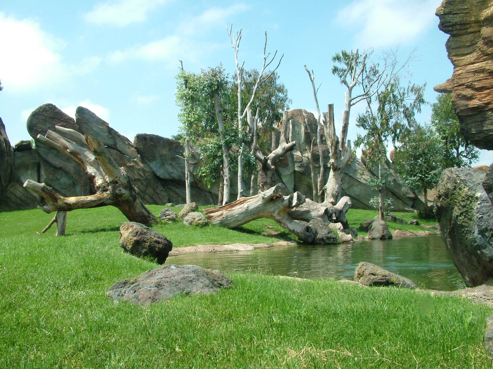 Gorilla/Mangabey Exhibit at Bioparc Valencia, 28/05/11