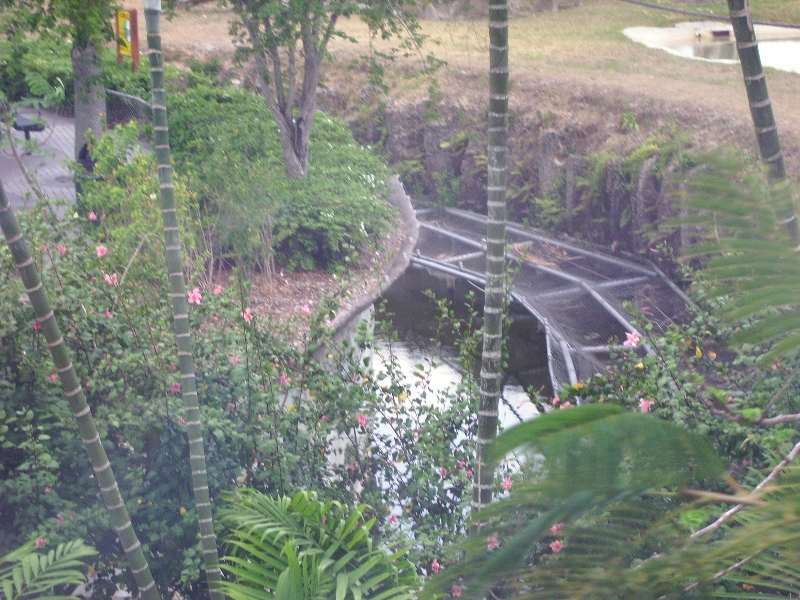 Gorilla Moat Barriers