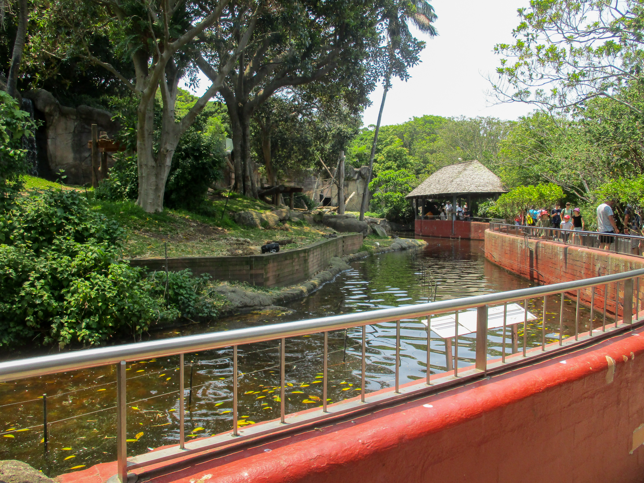 Gorilla Moat - December 2019