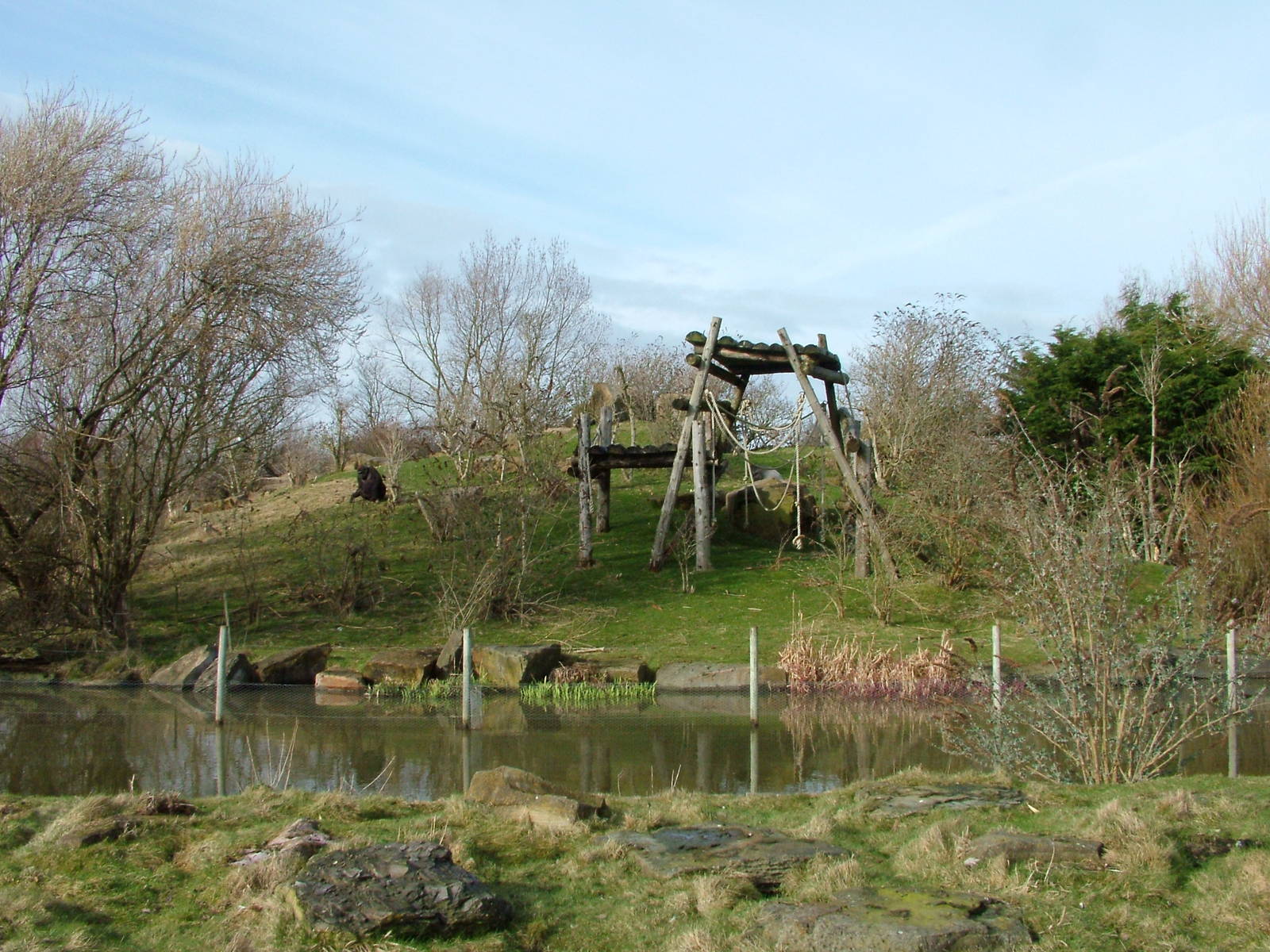 Gorilla Mountain at Blackpool 26/03/10