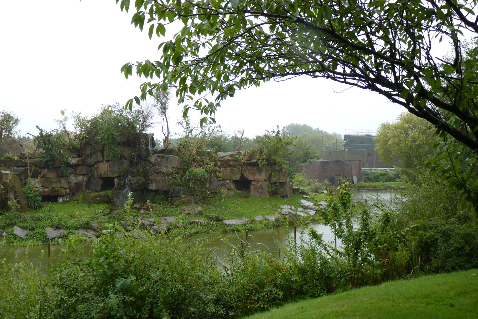 Gorilla Mountain, September 2016