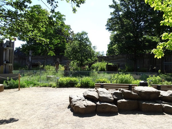 Gorilla outdoor enclosure (07/22)