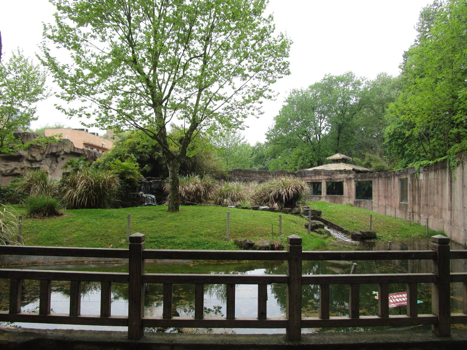 Gorilla Outdoor Enclosure - 16/04/2016