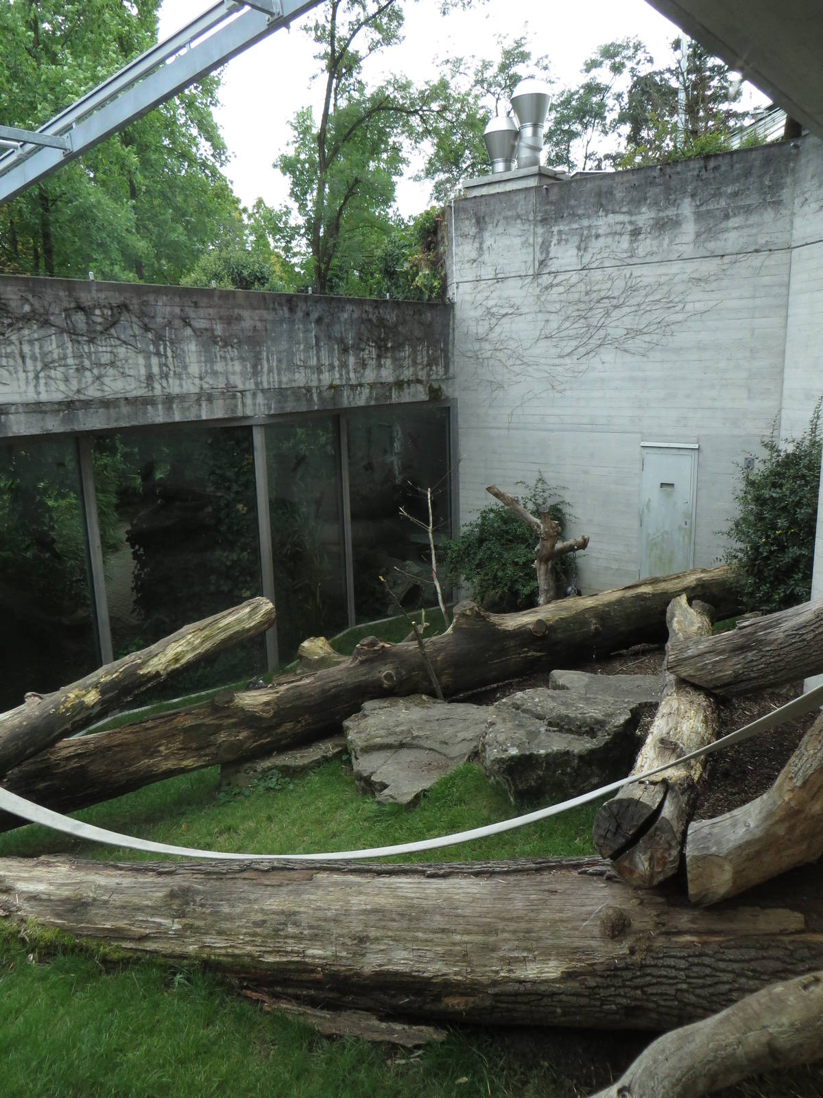 Gorilla outdoor enclosure