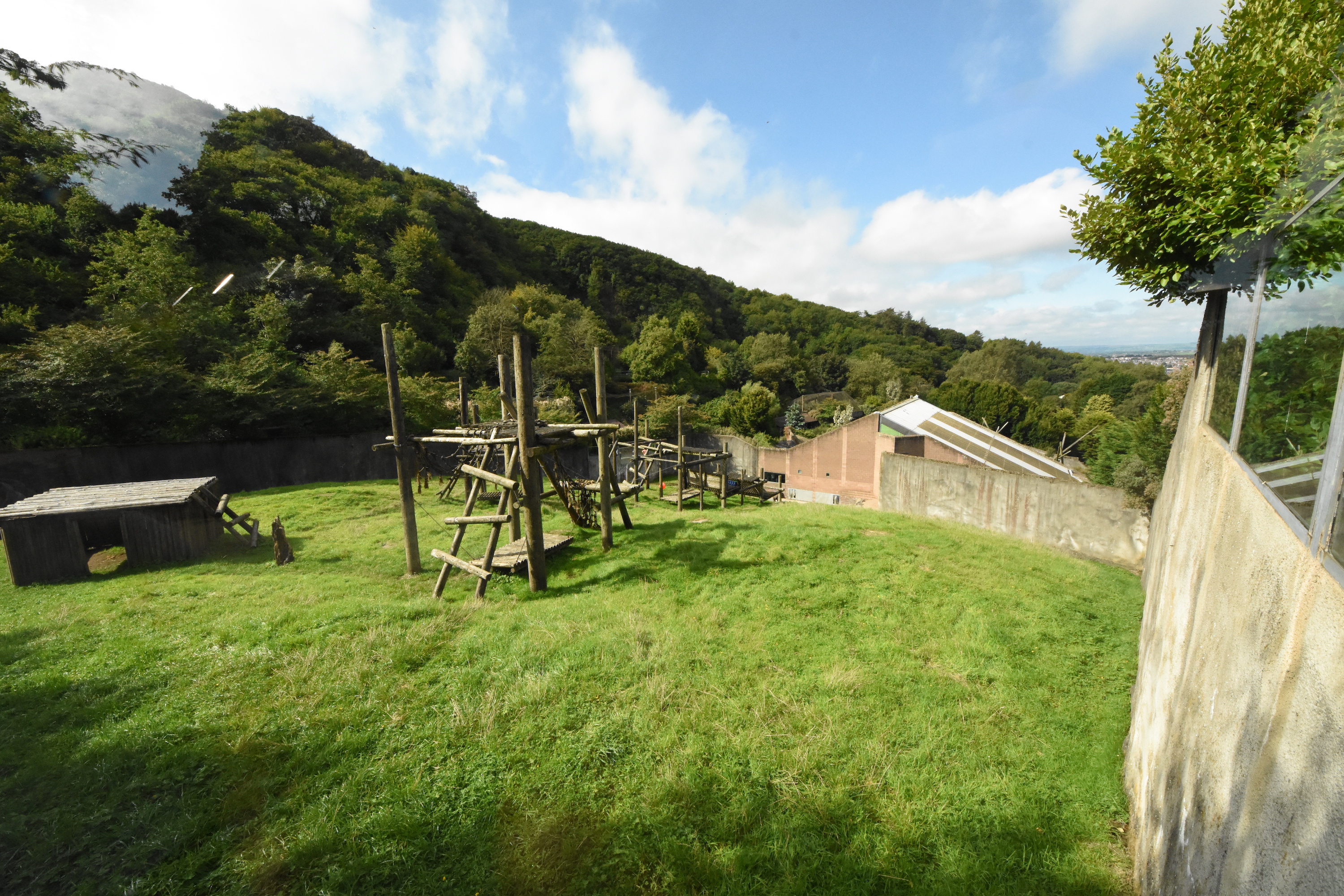 Gorilla outdoor enclosure