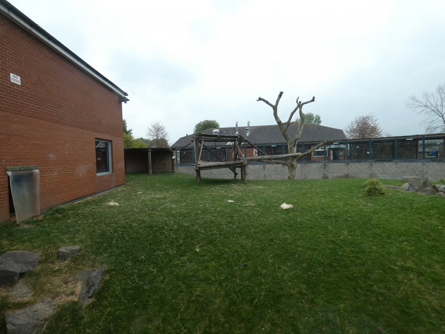 Gorilla outdoor enclosure