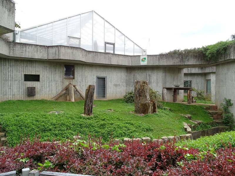 Gorilla outdoor enclosure