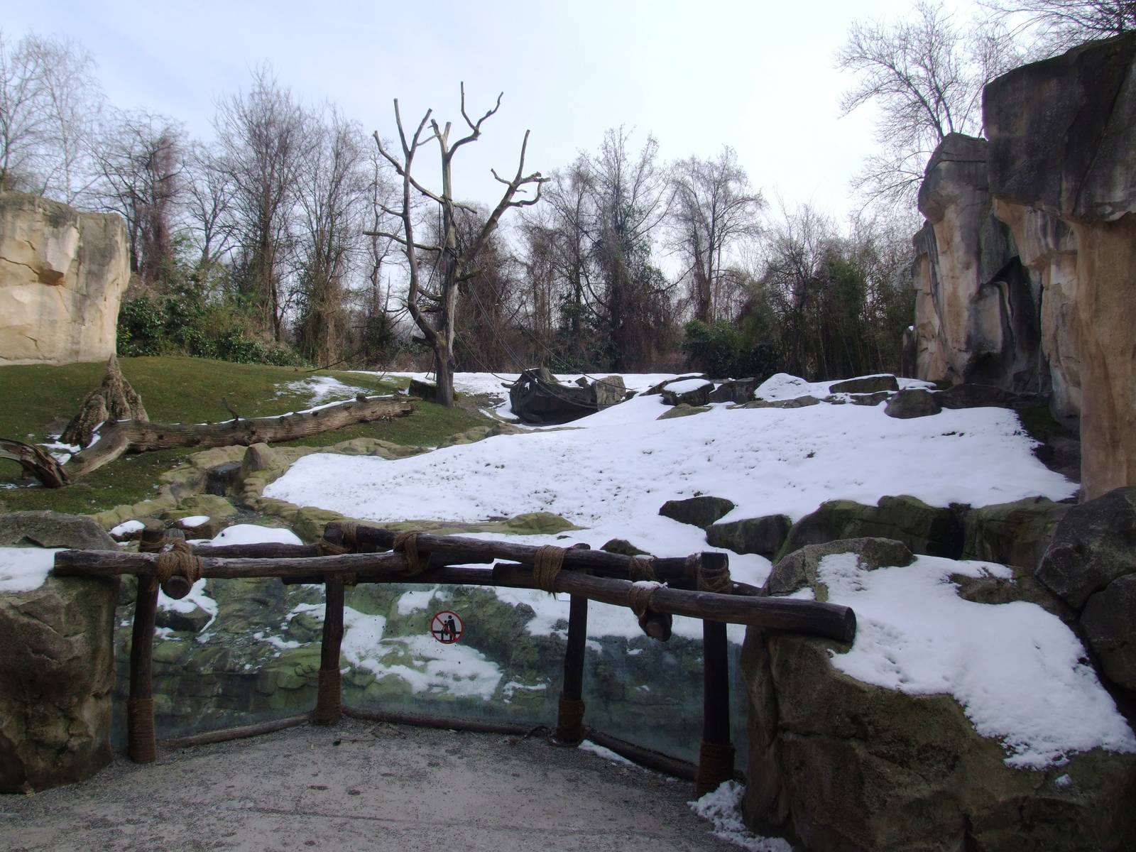 Gorilla Outdoor Exhibit at Hannover, 23/03/13