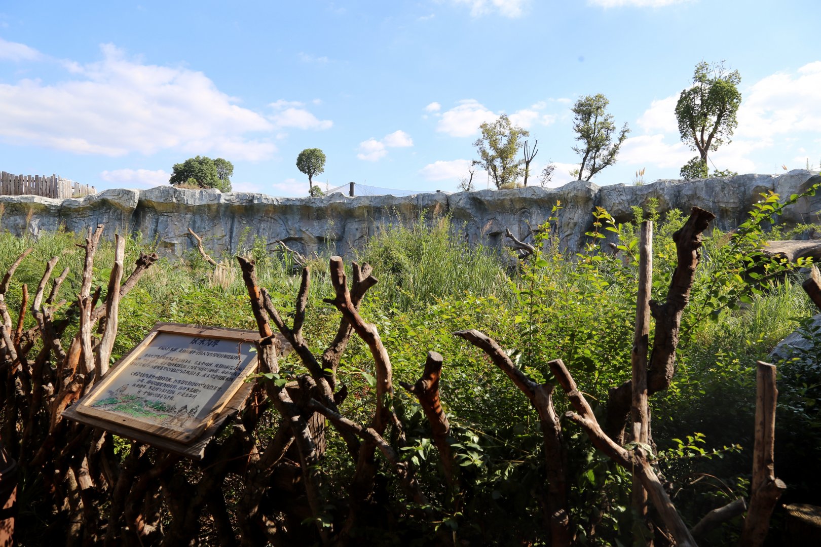 Gorilla Outdoor Exhibit, the 2nd Yard