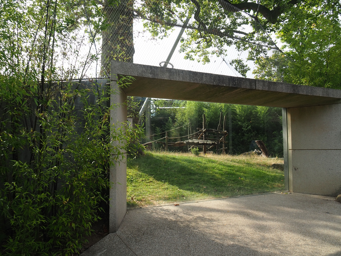 Gorilla outdoor exhibit viewing area, 2023-07-22