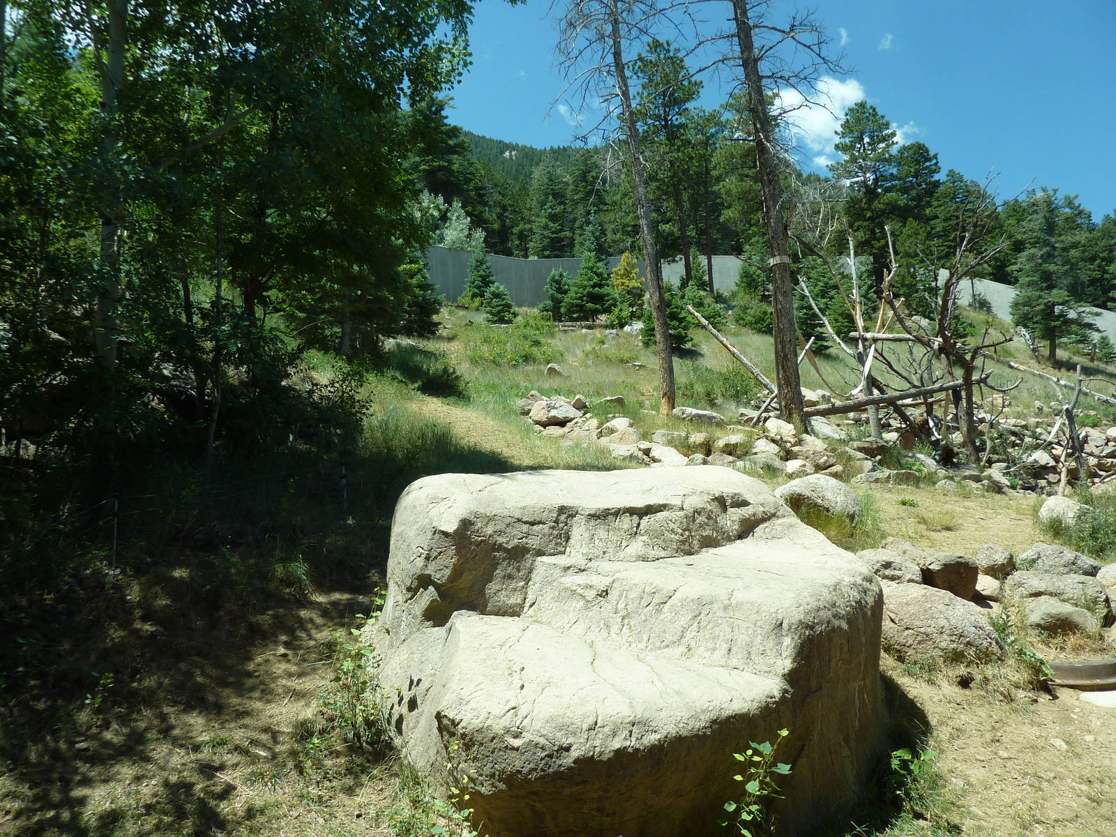Gorilla - Outdoor Exhibit