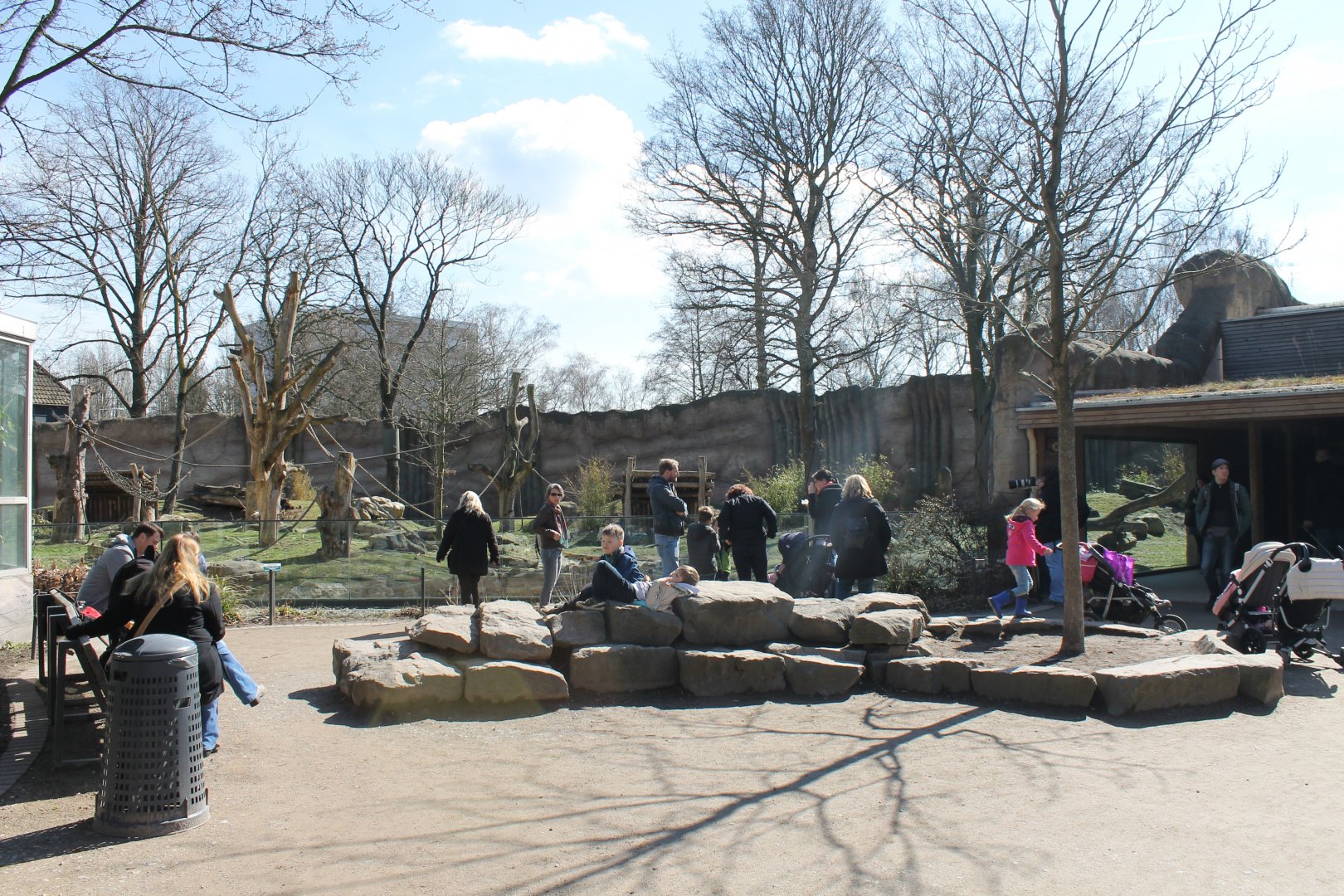 Gorilla outdoor-viewing area