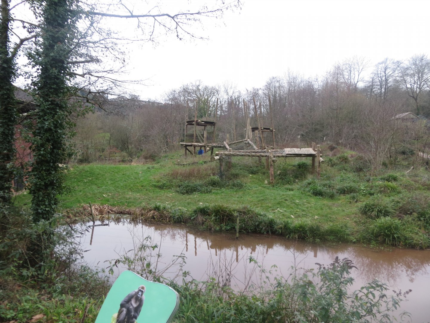 Gorilla outdoors 050119