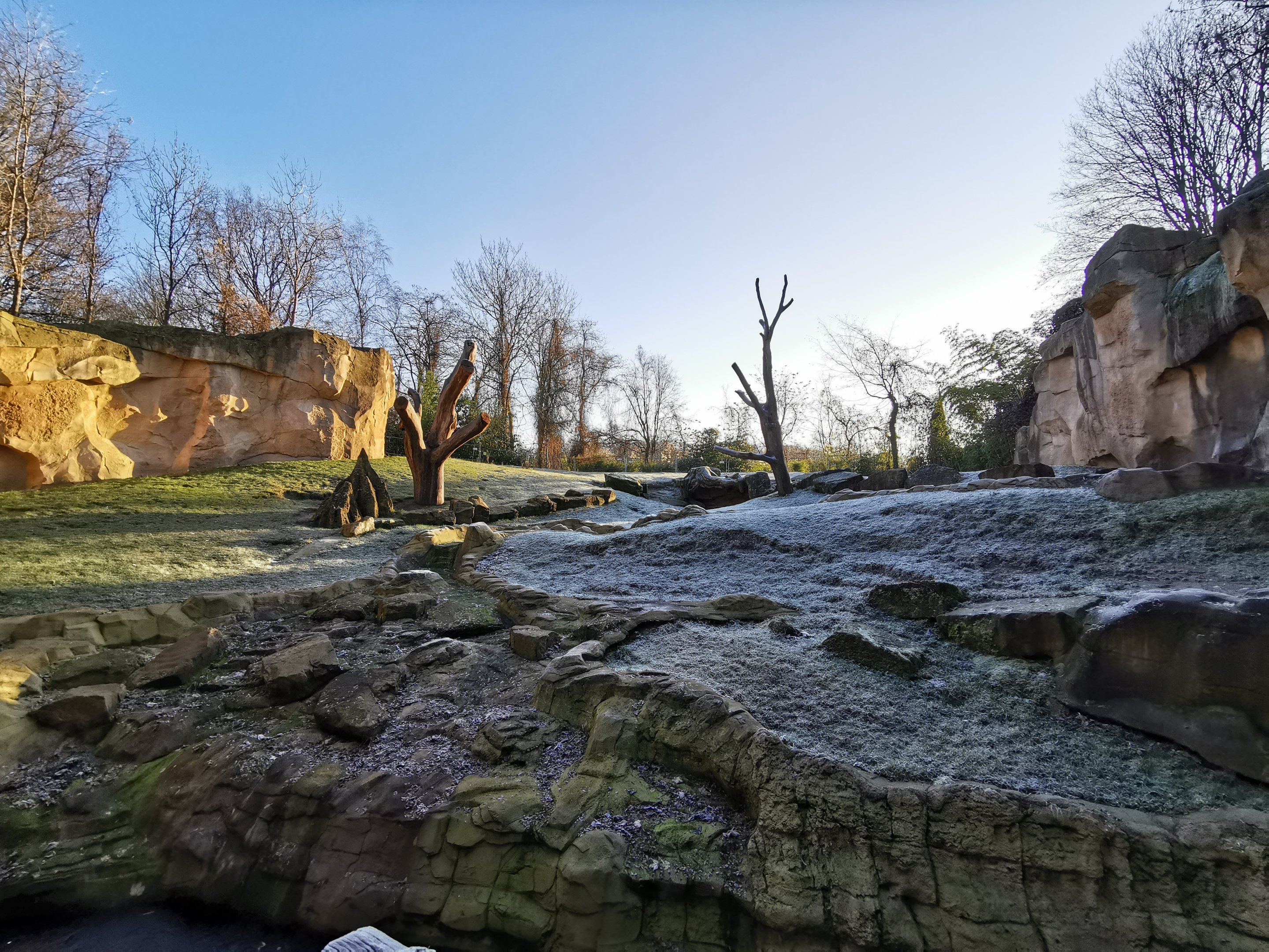 Gorilla outdoors - Afi Mountain