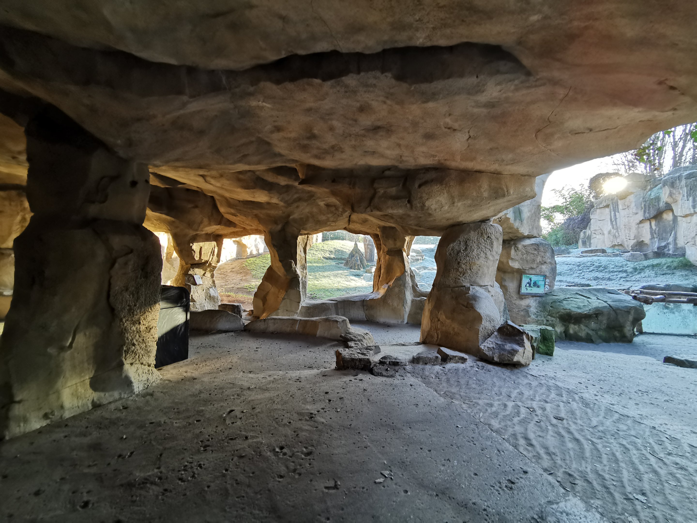 Gorilla outdoors - Afi Mountain